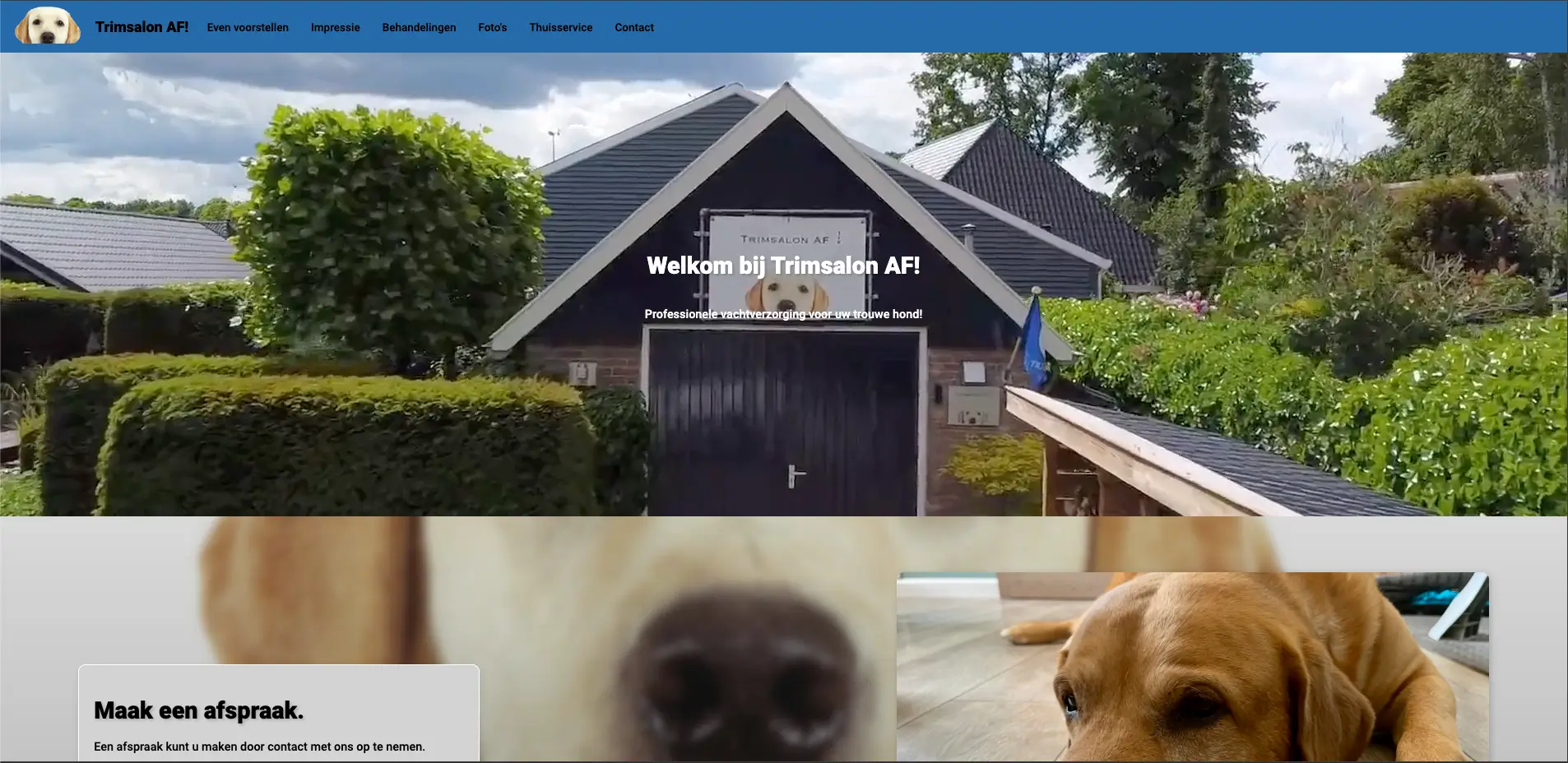 Trimsalon AF!